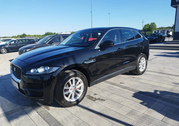 Jaguar F-Pace cena 84900 przebieg: 150734, rok produkcji 2017 z Michałowo małe 326